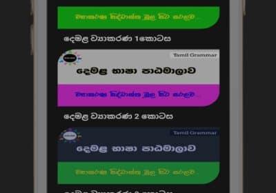 1000117382